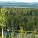 BkgBredberget